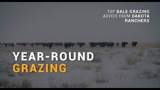 01 Year-Round Grazing (Carmichael)