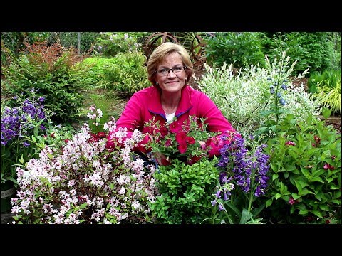 May Plant Haul!/Perennials, shrubs and annuals/Garden Style nw