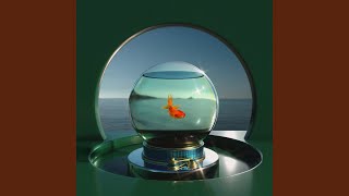 Water Bowl