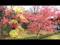 紅葉瀛風の京都金閣寺