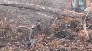 Watch Digger Trying video