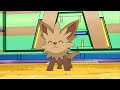★~EPIC LILLIPUP SWEEP~★