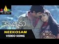Nenunnanu Songs | Neekosam Neekosam Video Song | Nagarjuna, Aarti Aggarwal | Sri Balaji Video