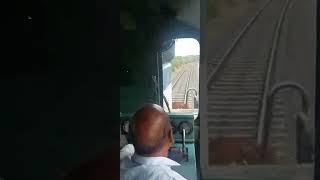Loco Pilot Saves Cows by applying emergency brakes at right time