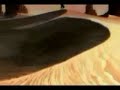 【MAD】WILD ARMS -Windward Birds-