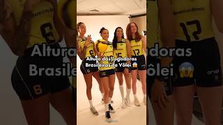 Altura Das Jogadoras Brasileiras De Vôlei
