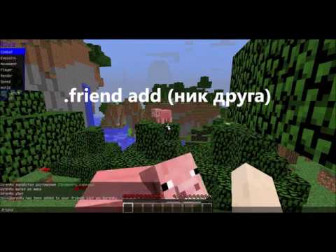 Как сделать чтобы килаура не била друзей Как сделать чтобы килаура не била друзей