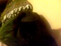 frenchkitty
