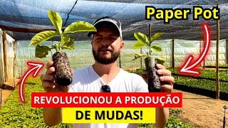 Viveiro De Mudas De Café Conilon Como Produzir Mudas De Café Clonal - Tecnologia Paper Pot.