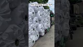 Yetenekli Insanlar Yeteneğini Sanata Çeviren Insanlar