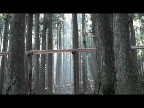 森の木琴 (NTT Docomo)