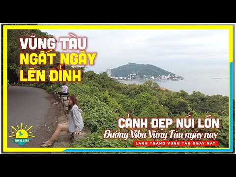 Vũng Tàu NGẤT NGÂY LÊN ĐỈNH | Cảnh Đẹp Núi Lớn trên Đường Viba Vũng Tàu ngày nay
