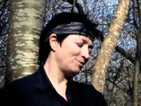 Périphérique Video