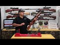 .25 cal airgun