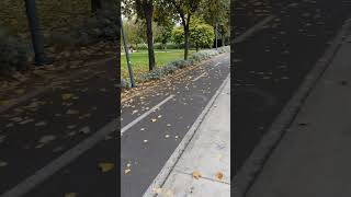 Müslüm Gürses Hangimiz Sevmedik Çılgınlar Gibi