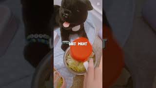 Feed Roxy With Meee