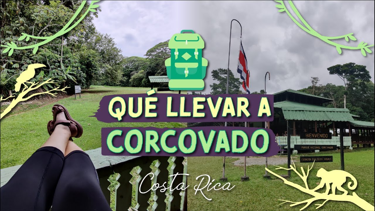 Los videos más recientes