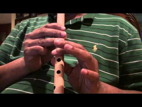 Yeh reshmi zulfen yeh sharbati ankhen on flute - Travails with...