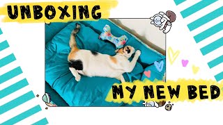New cat bed from Heads Up for Tails | Unboxing and First Impressions | TheSnobCa