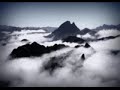 refuge