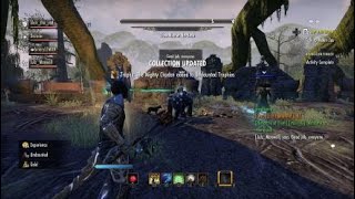 Eso Treeminder Na-Kesh Fight