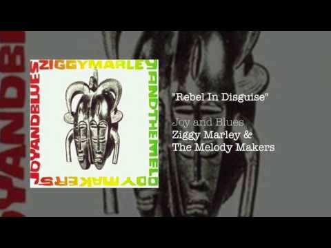 Rebel In Disguise Video