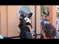 Oswald the Lucky Rabbit makes U.S. Disney debut at California Adventure