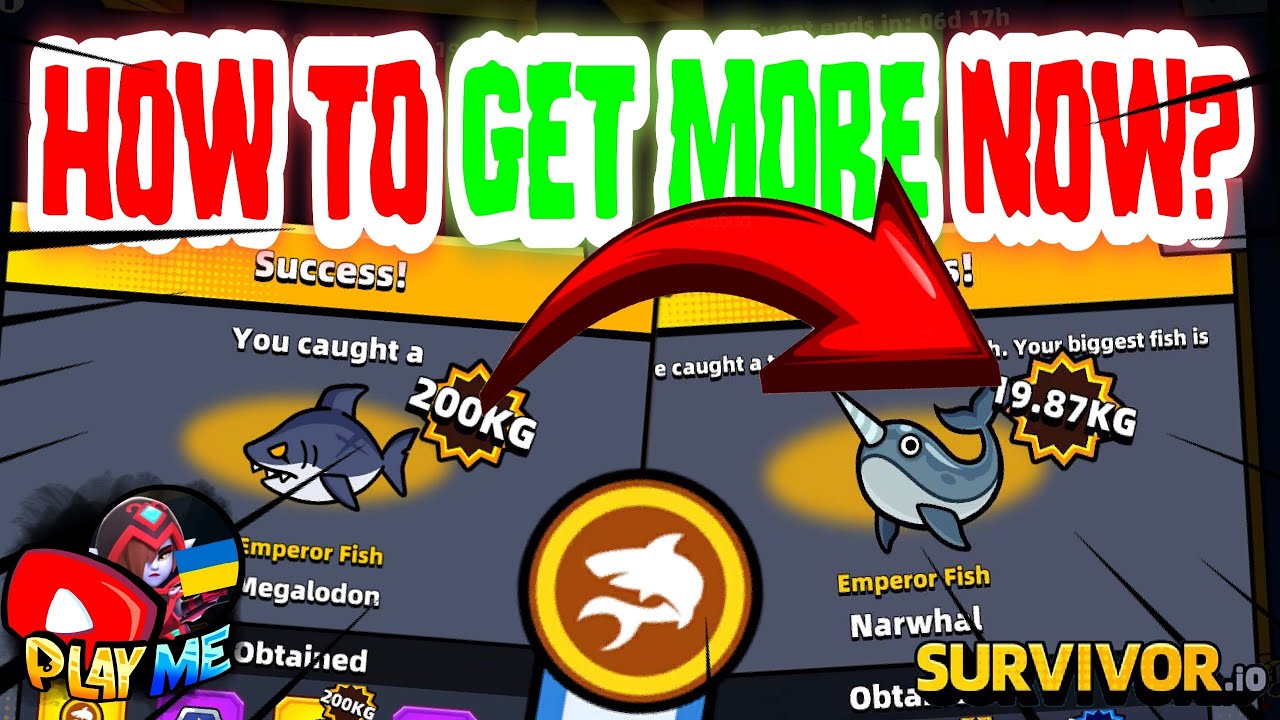 CATCH FISH ON MORE KILOGRAMS DURING GOLDFALL COAST CATCH FISH ON MORE KILOGRAMS DURING GOLDFALL COAST