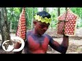 The Sateré-Mawé Tribe Subject Themselves To Over 120 Bullet Ant Stings | Wildest Latin America