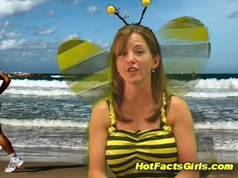 Interesting Animal Cell Facts Top 10 most interesting facts Interesting Animal Cell Facts Top 10 most interesting facts