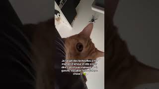 Quand Ma Maman Dit Que Jai Mauvaise Haleine En Plein Câlin