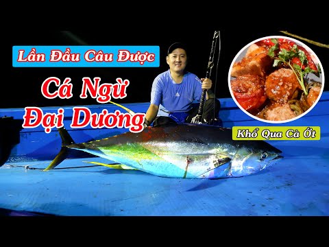 Lần Đầu Chạm Mặt Cá Ngừ Đại Dương Và Ăn Mừng Cùng Món Khổ Qua Cà Ớt | Câu Cá Biển Tập 2