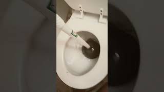 Skibidi Toilet Inflation 2
