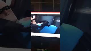 Mr Snakes Reaction To Mr Incrediblebob Parrs Fat Belly