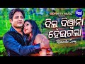 Mo Dil Diwana Heigala -Romantic Film Song | Humane Sagar,Nibedita | Babushan,Seetal | Sidharth Music