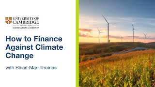 How To Finance Against Climate Change University Of Cambridge