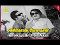 Kattila Thottila Movie Songs | Ambikapathy Pola Naan Video Song | Gemini Ganesan | Bhanumathi