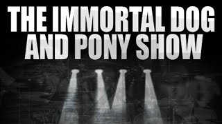 Watch For Squirrels The Immortal Dog And Pony Show video