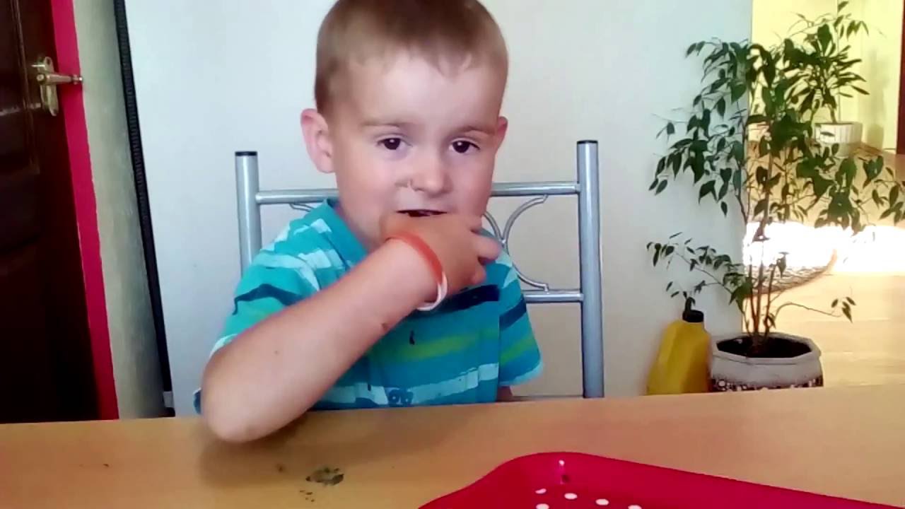 Как сделать барни в дома