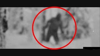 Russian Yeti - The Dyatlov P Incident
