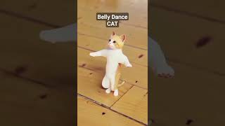 Belly Dance Cute Cat
