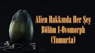 Alien Hakkında Her Şey Bölüm 1- Yumurta