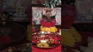 Rakhi Pandaga Roju Chesukuna Pooja Birthday Swami Birthday Tho