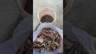 Cara Membuat Kompos Dari Daun Kering