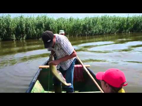 бехтер сом на квок видео бехтер сом на квок видео