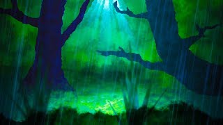 Rain Sounds in Forest | White Noise Sleep or Study Aid | Rainstorm 10 Hours
