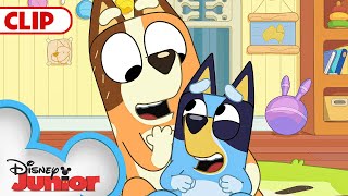 Bluey Season 3 Episode 20 Driving Episode Clip Bluey
