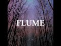 Flume - Possum