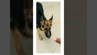 Coco Say Anyone Cant Touch Me Gsd