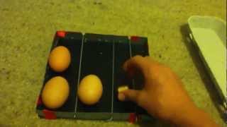 How to make a automatic egg turner for your incubator 02:41